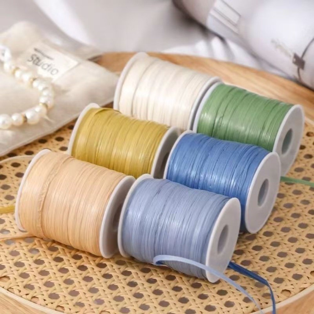プレミアム品質 120m巻き ラフィア糸 編み物用耐久性のあ - Crochet Bag Raffia のレビューと価格